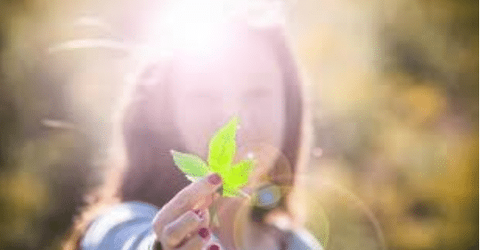 Dealing With Marijuana Use On Your Dating Profile