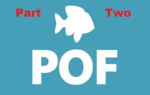 Read more about the article Best Male POF Dating Profile Examples – What Works and What Doesn’t? – Part 2