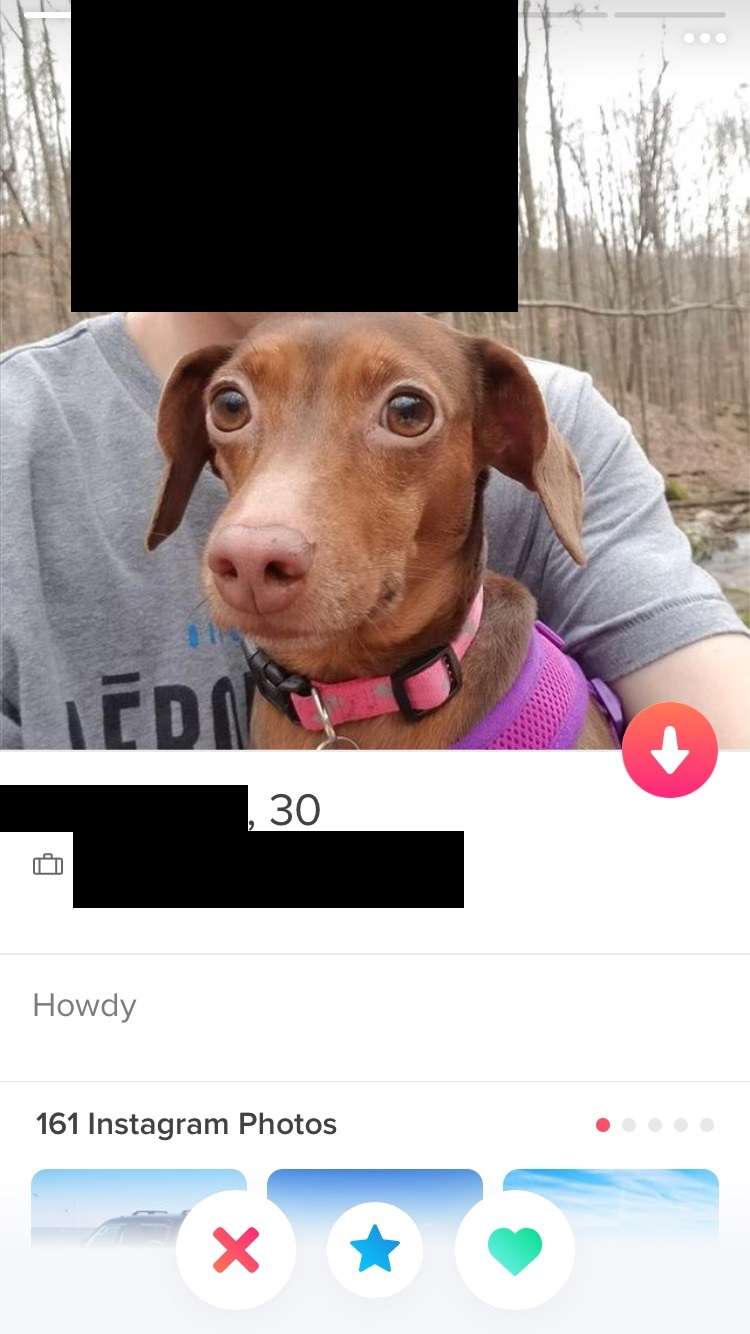 30 Of The Funniest Profiles Spotted On Tinder (New Pics)